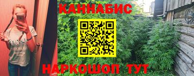 молекула духа Партизанск